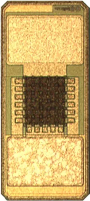 935132424533